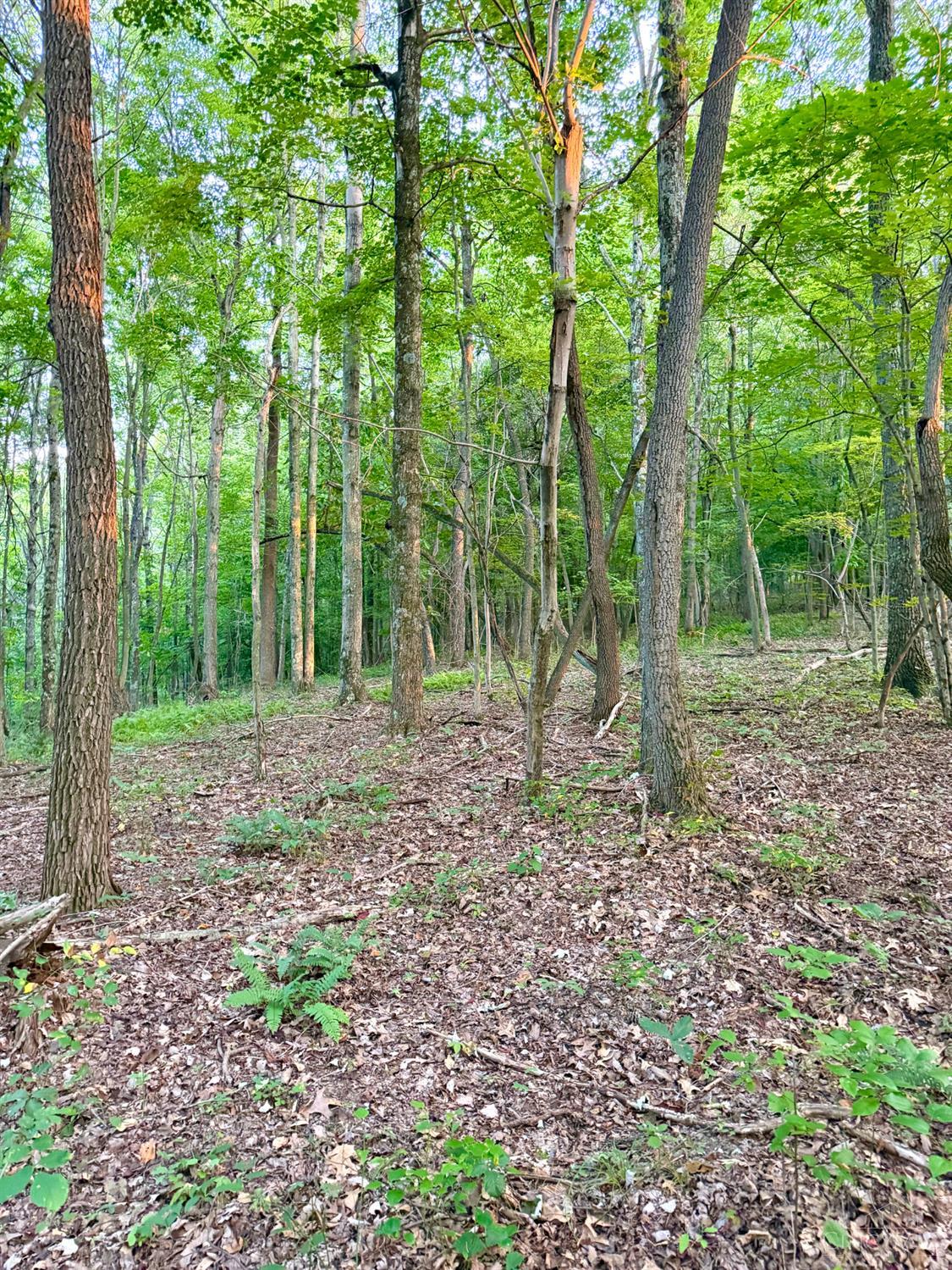 Greenbriar Road Property Photo 67