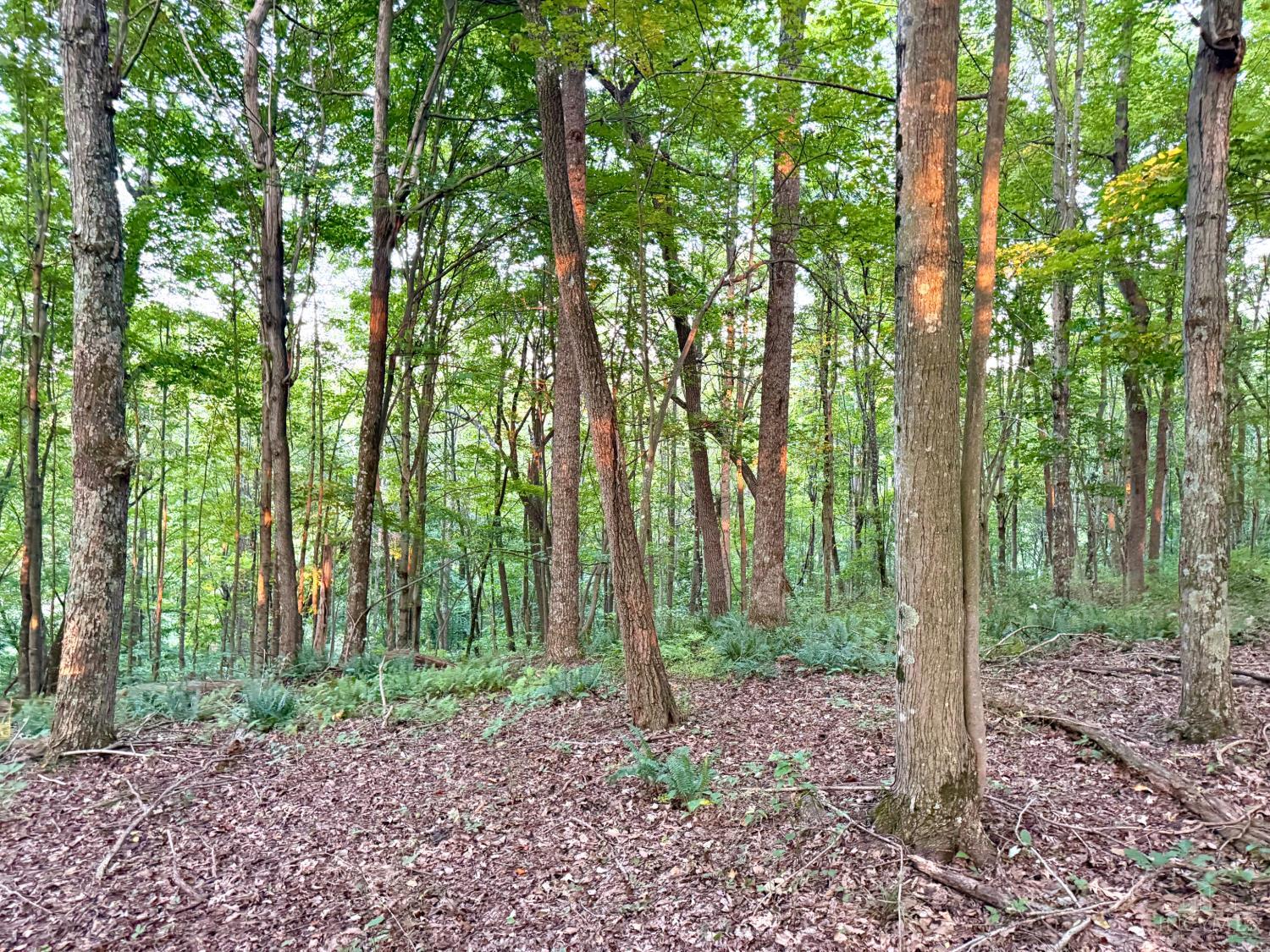 Greenbriar Road Property Photo 68