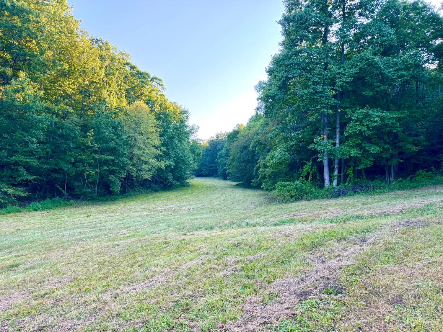 Greenbriar Road Property Photo 76