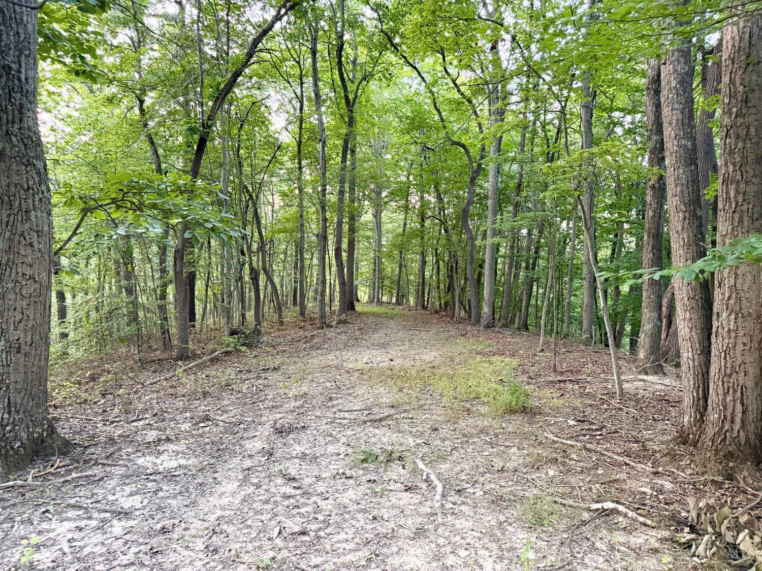 Greenbriar Road Property Photo 81