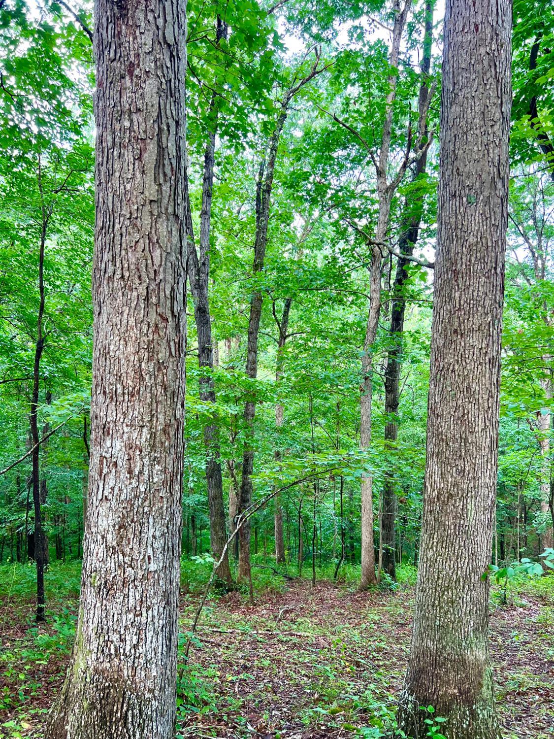 Greenbriar Road Property Photo 88