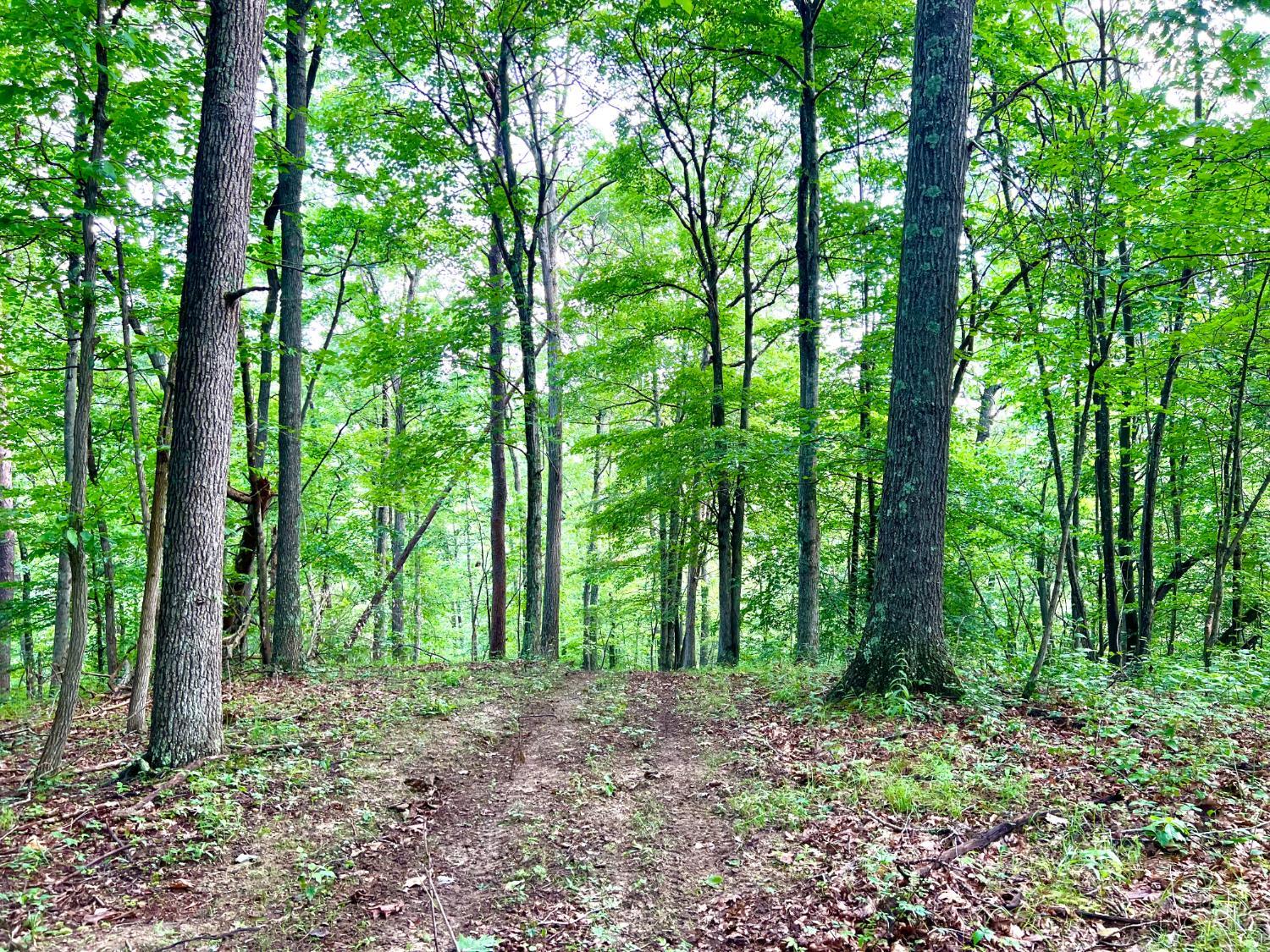 Greenbriar Road Property Photo 89