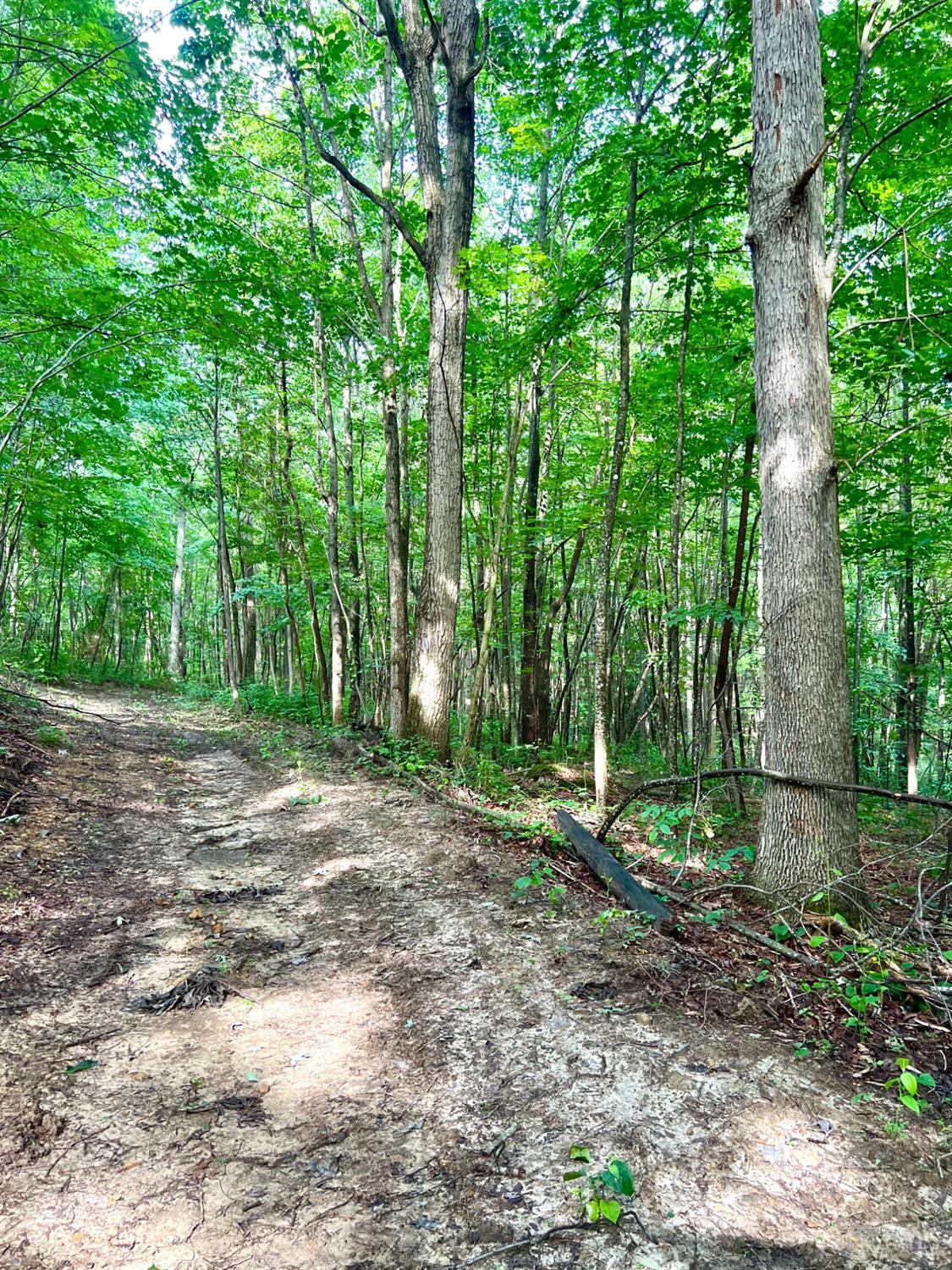 Greenbriar Road Property Photo 91