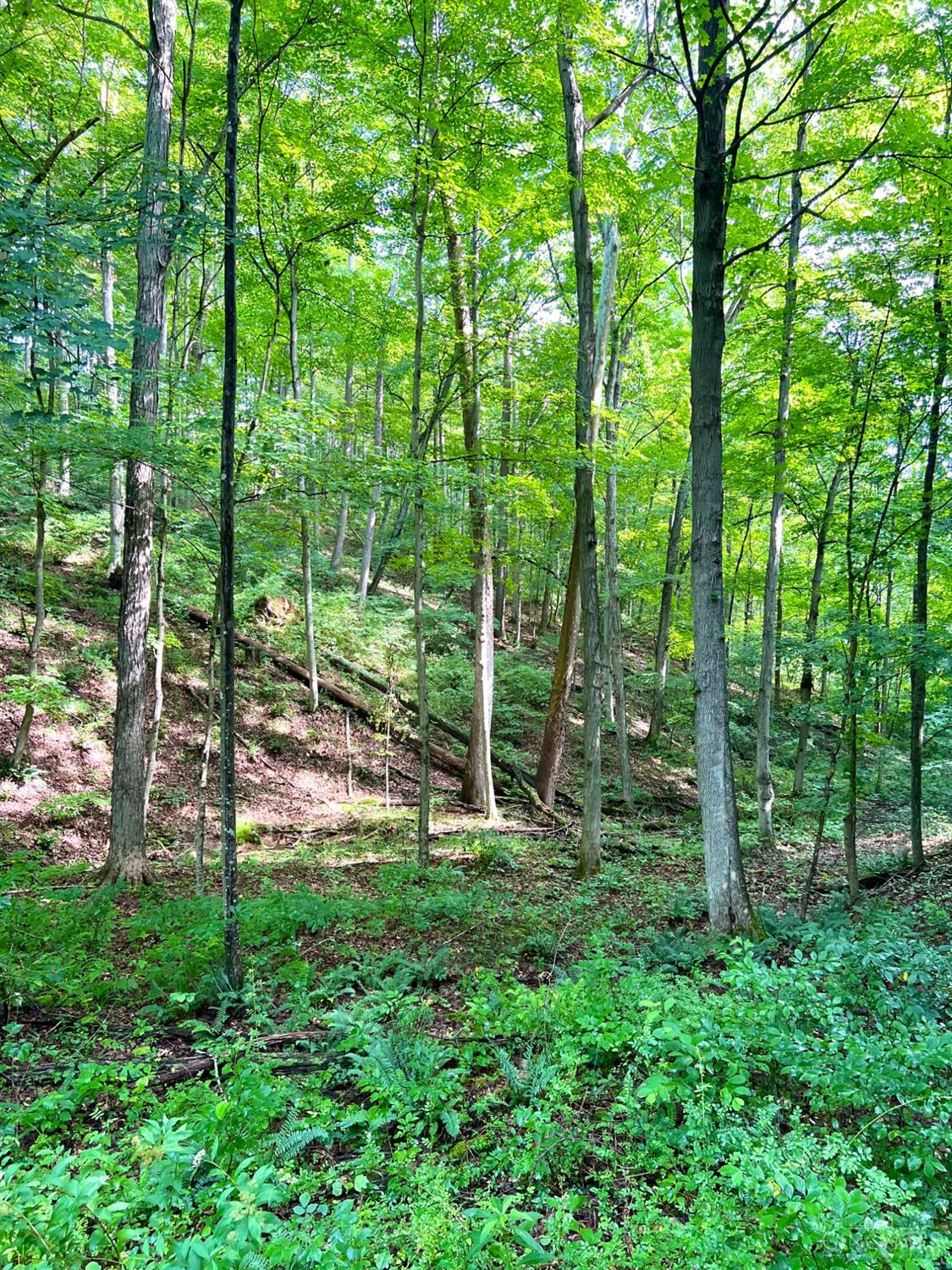 Greenbriar Road Property Photo 93