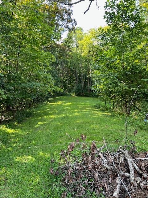 292 Larry Baynum Road Property Photo 27