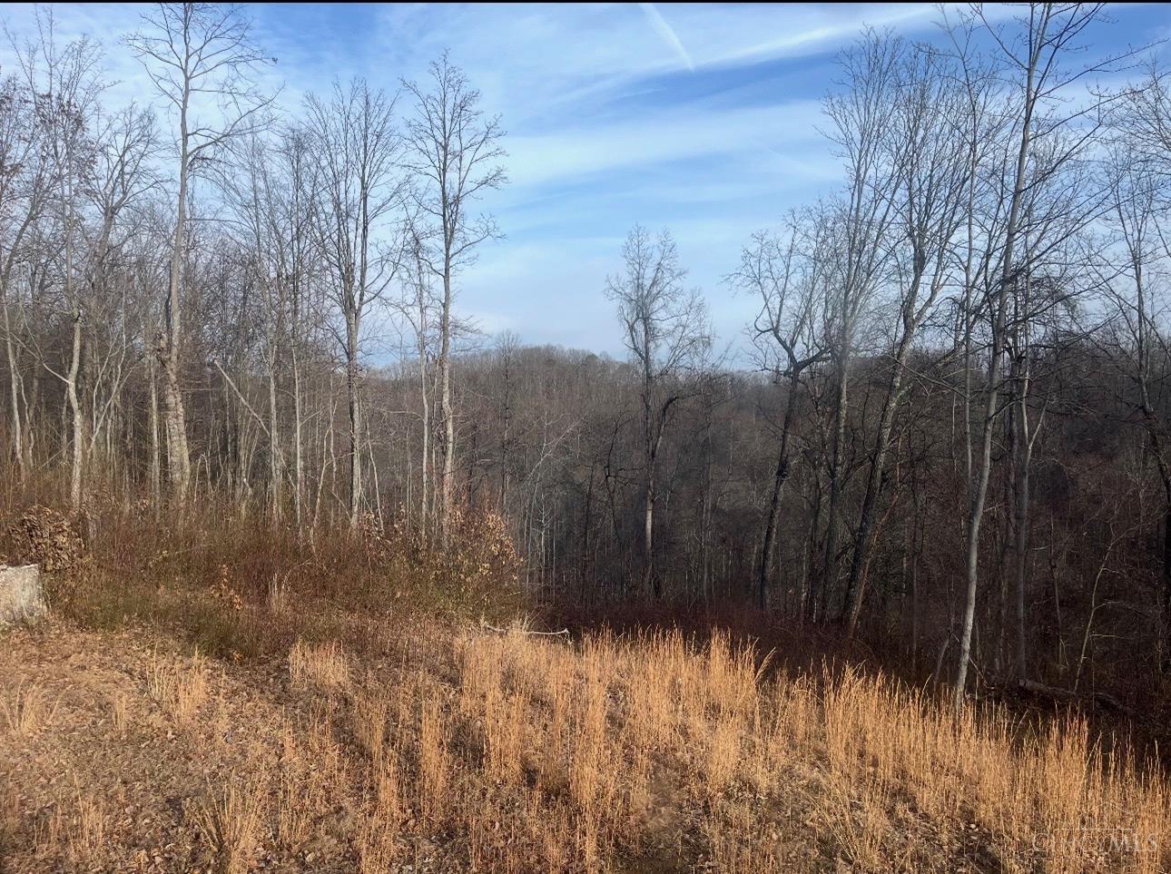 Upper Twin Creek Road Property Photo 1
