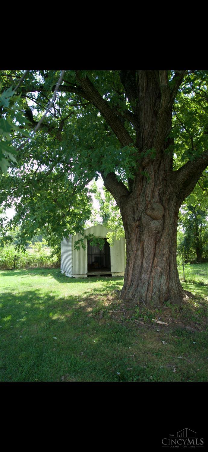 60 Maple Street Property Photo 32