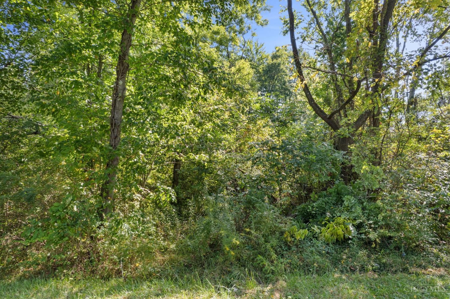 Starling Road Property Photo 15