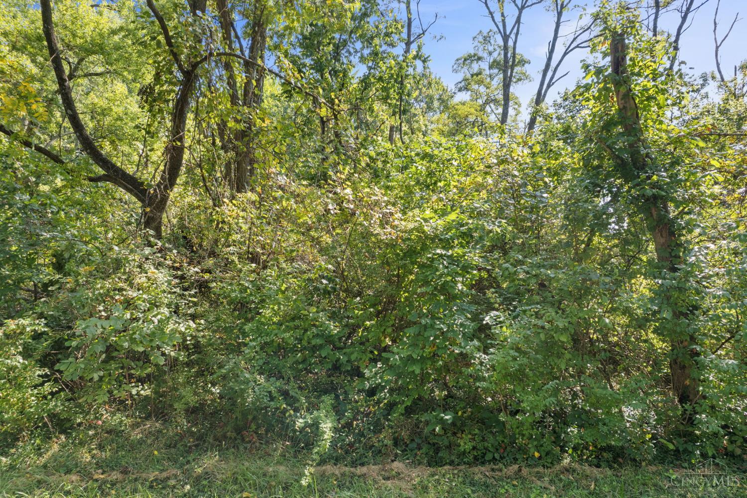 Starling Road Property Photo 16
