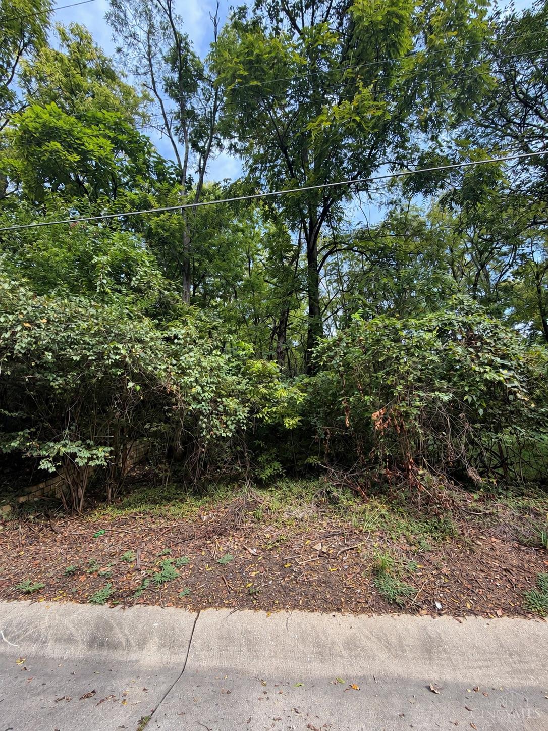1642 Sutter Avenue Property Photo 1