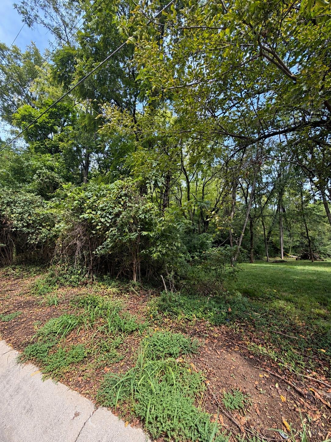 1642 Sutter Avenue Property Photo 2