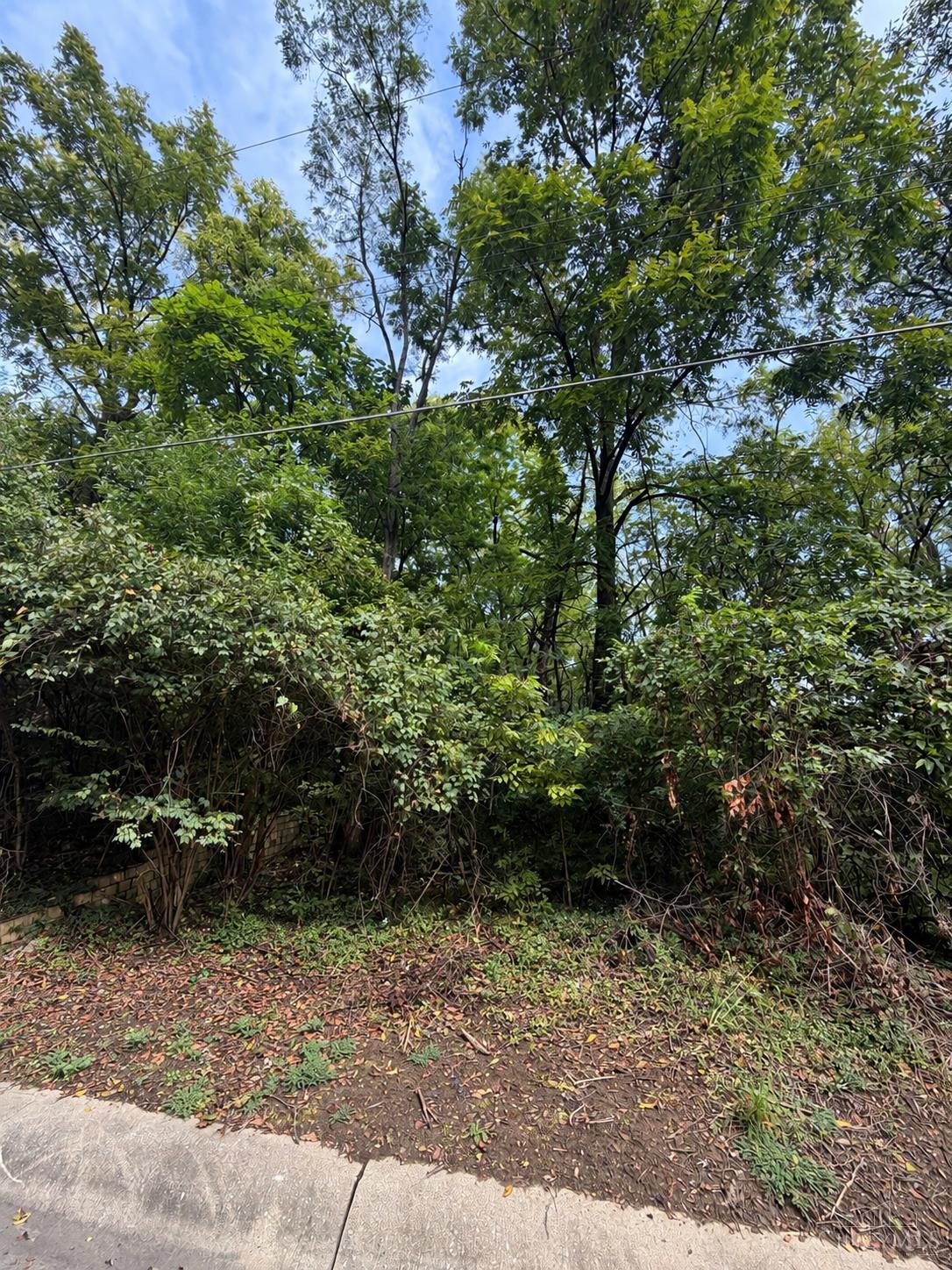 1642 Sutter Avenue Property Photo 3