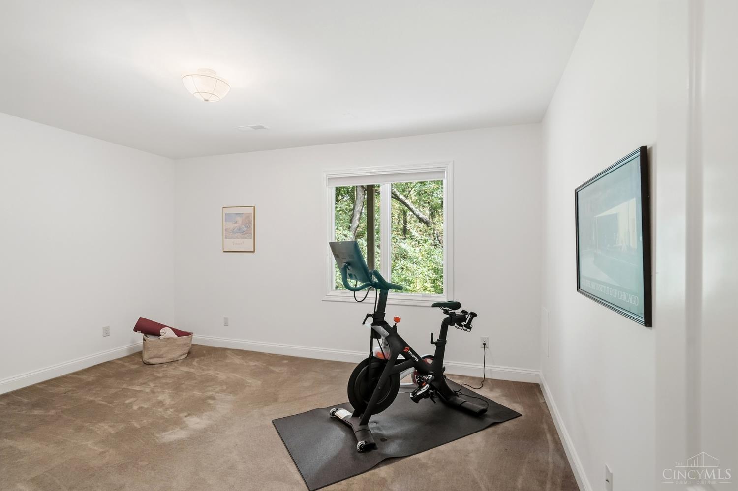 970 River Forest Drive Property Photo 42