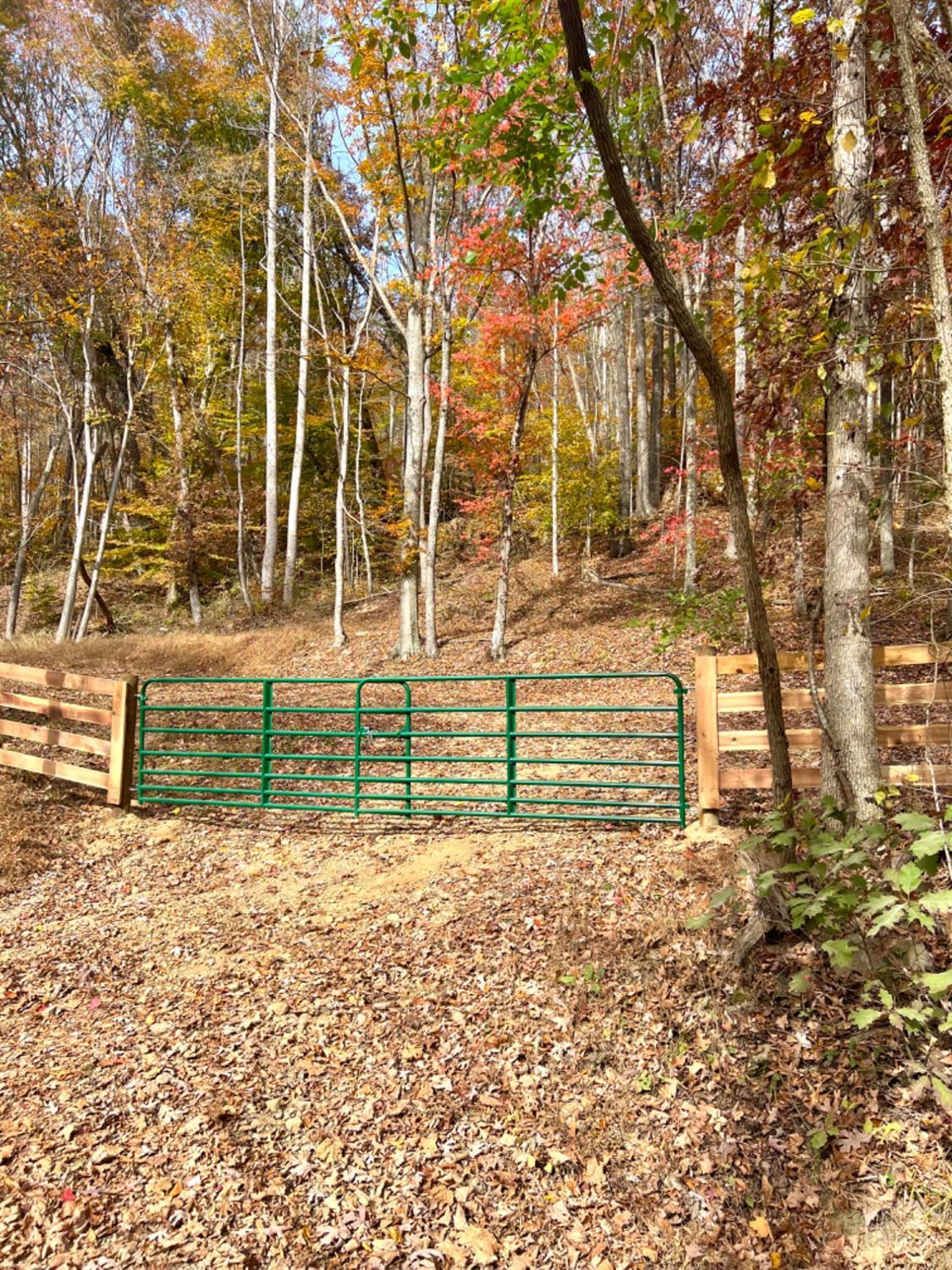 514 Dog Hollow Road Property Photo 1