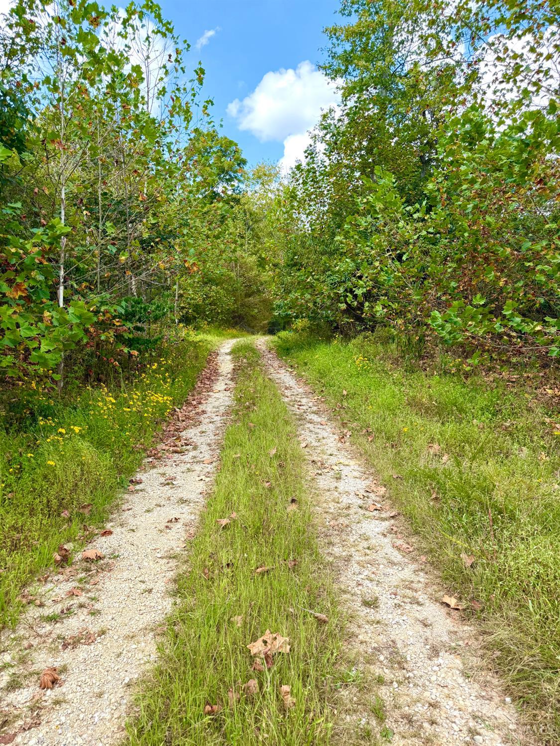 Roy Rogers Road Property Photo 1