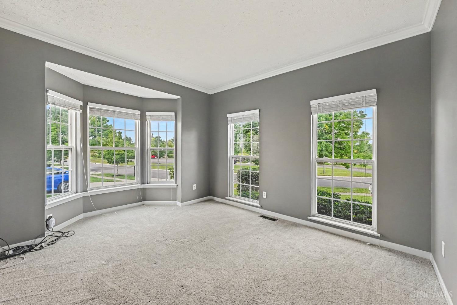 1301 Harvest Run Drive Property Photo 6