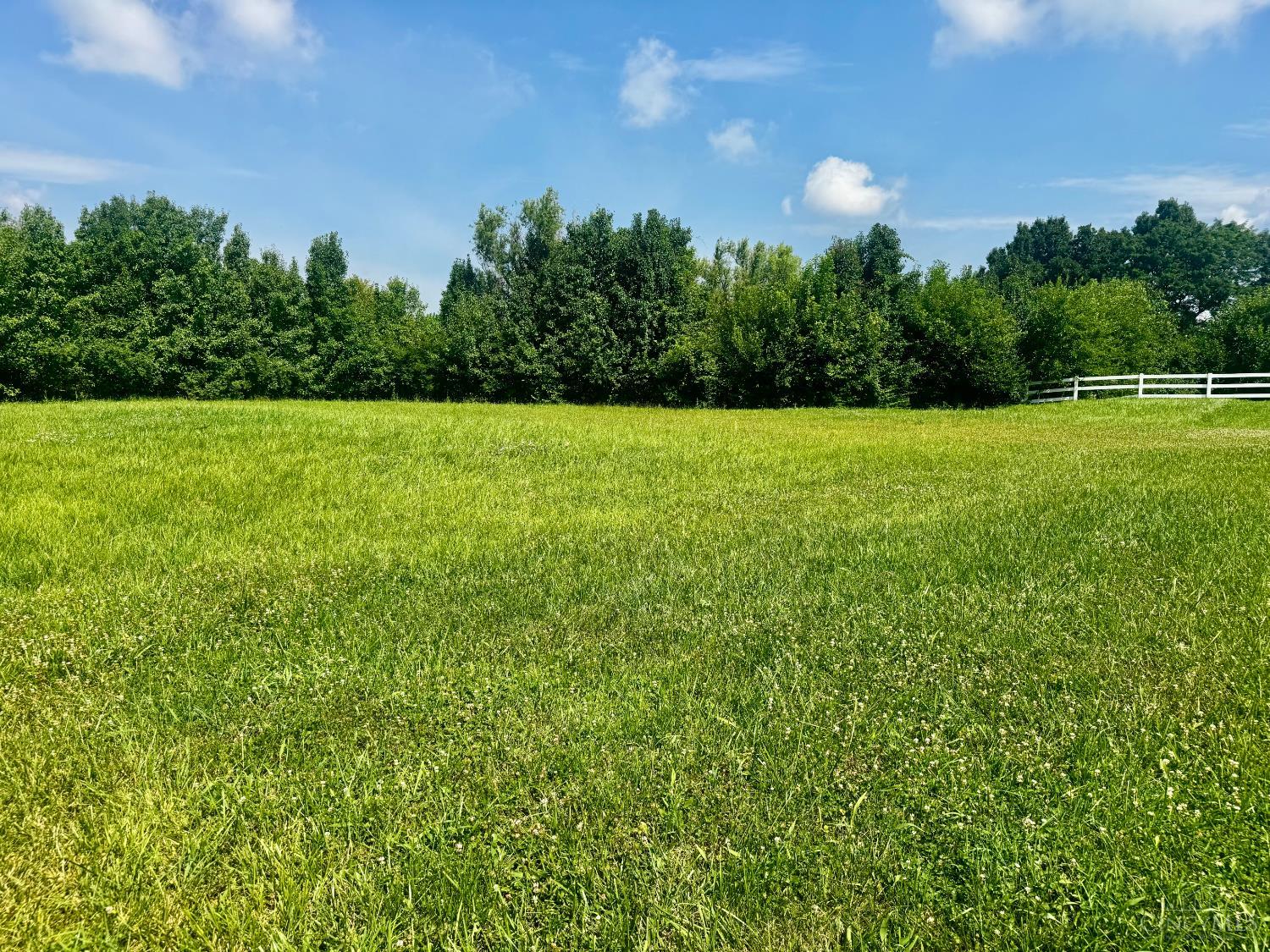 8176 Course View Drive Property Photo 5