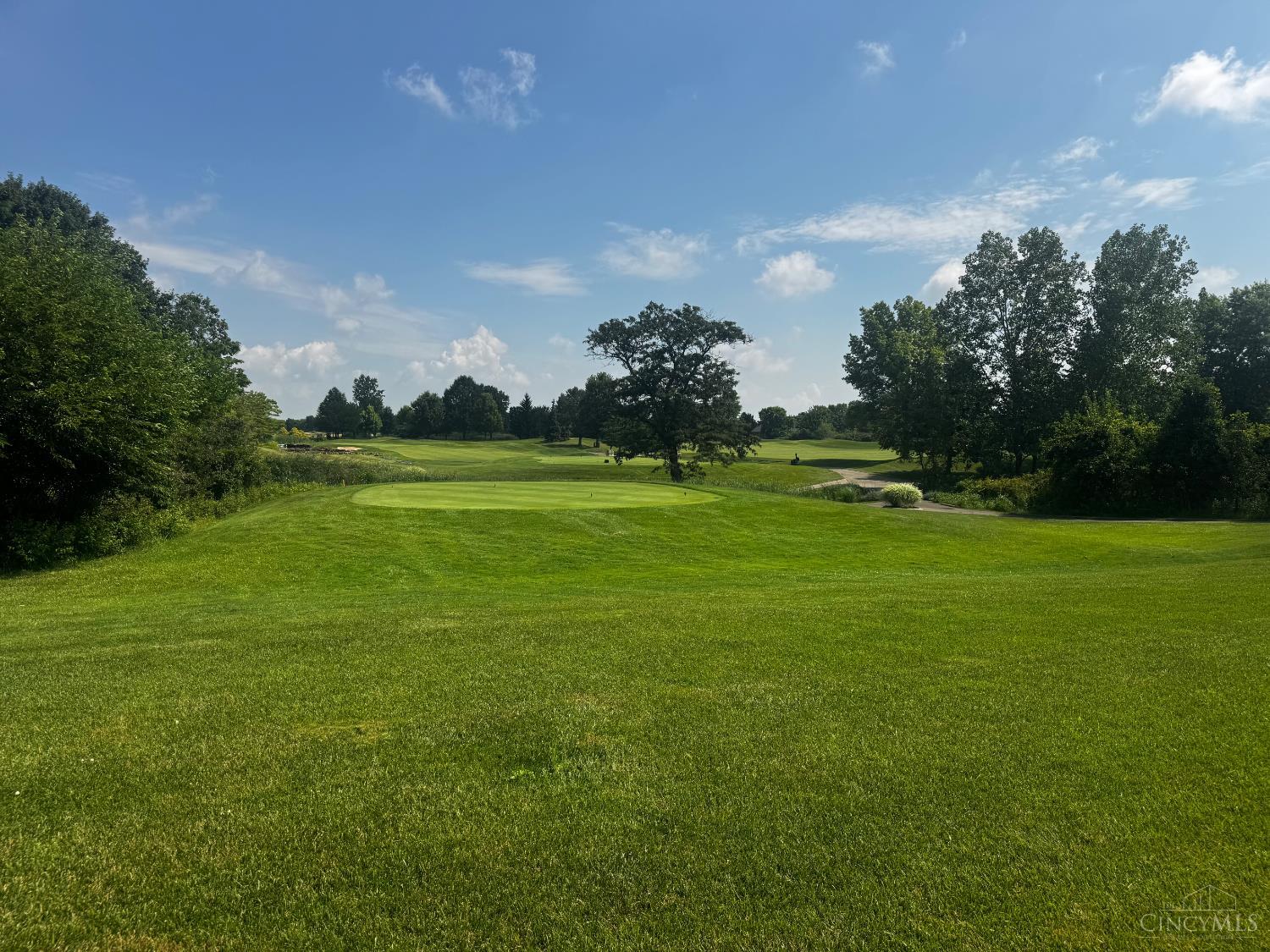 8176 Course View Drive Property Photo 6