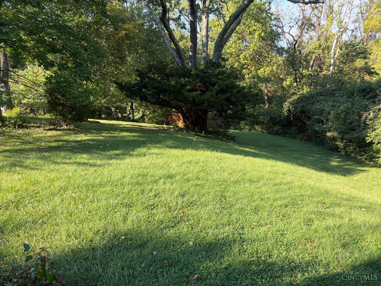 454 Beechtree Drive Property Photo 26