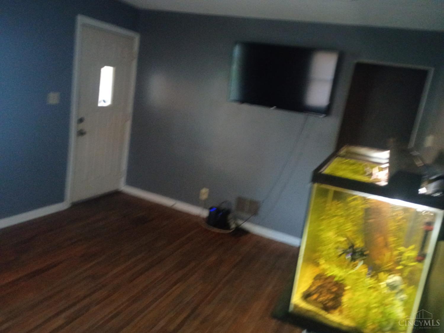 55 Irene Property Photo 3