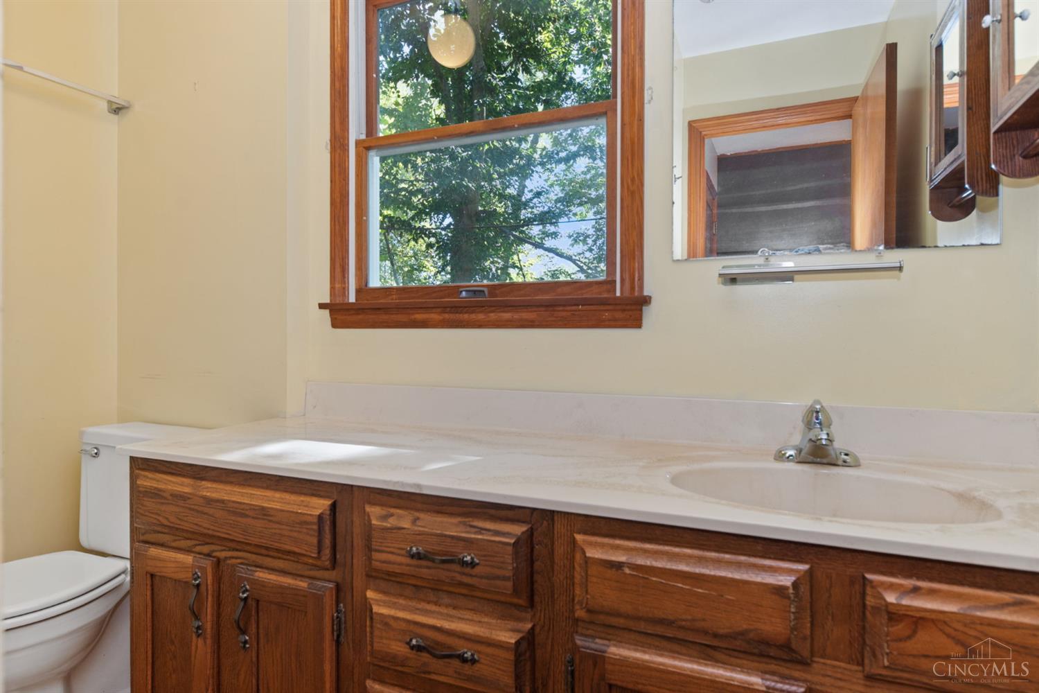 4824 Goose Run Road Property Photo 27