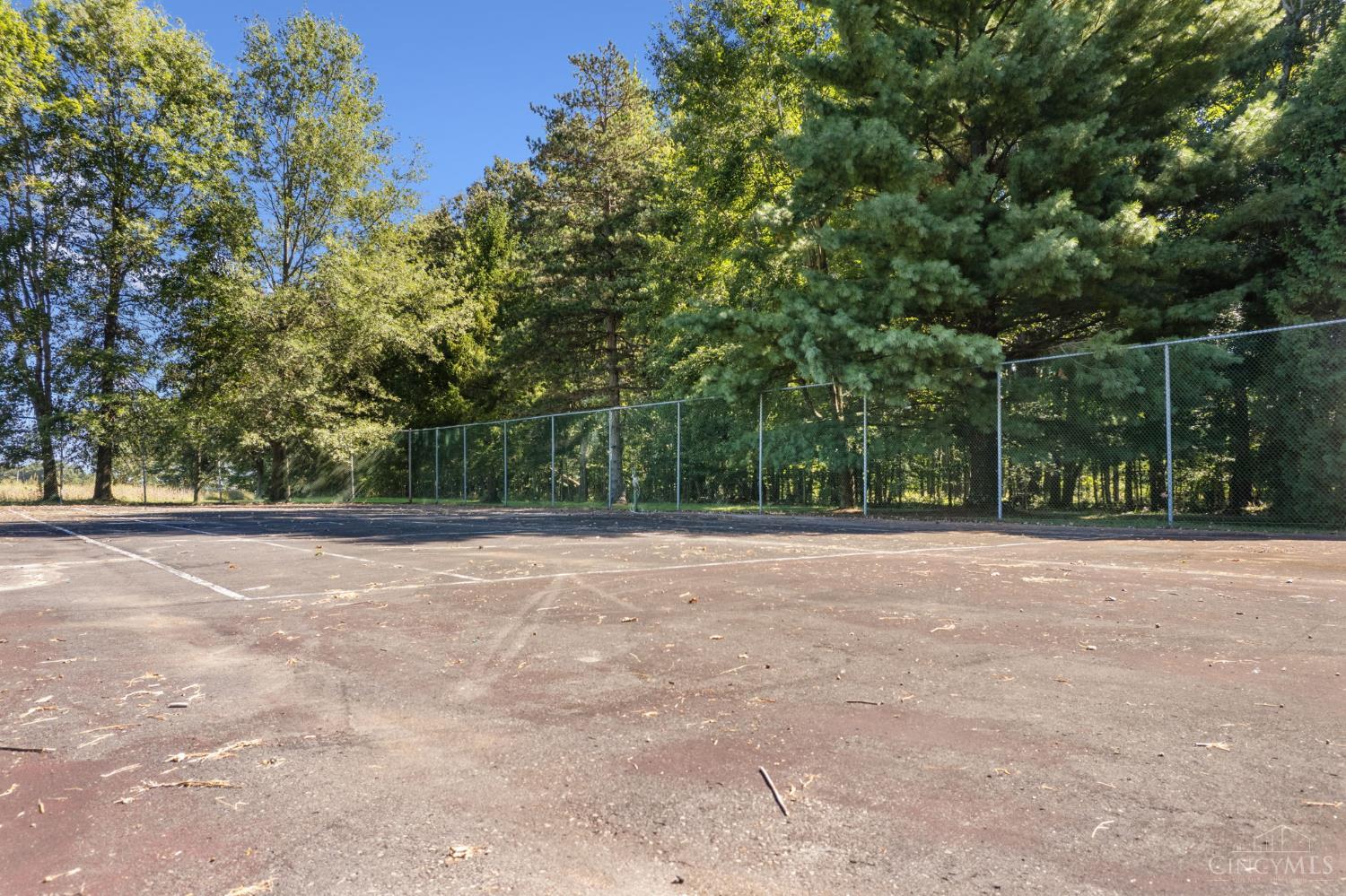 4824 Goose Run Road Property Photo 40