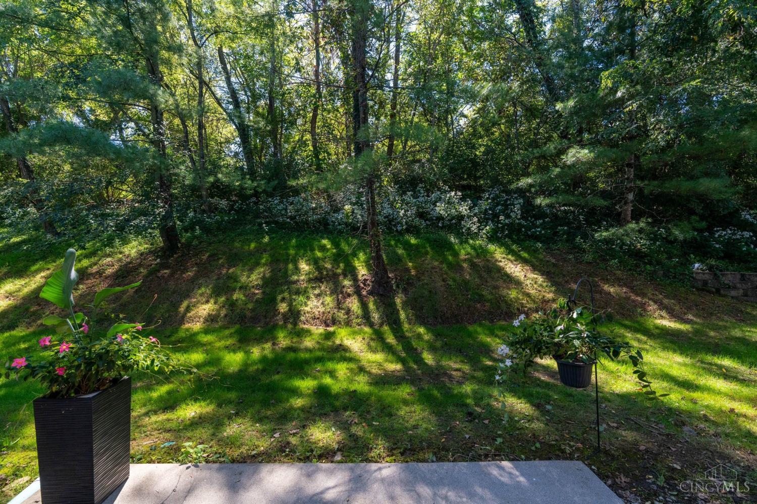 6559 Silverfox Drive Property Photo 33