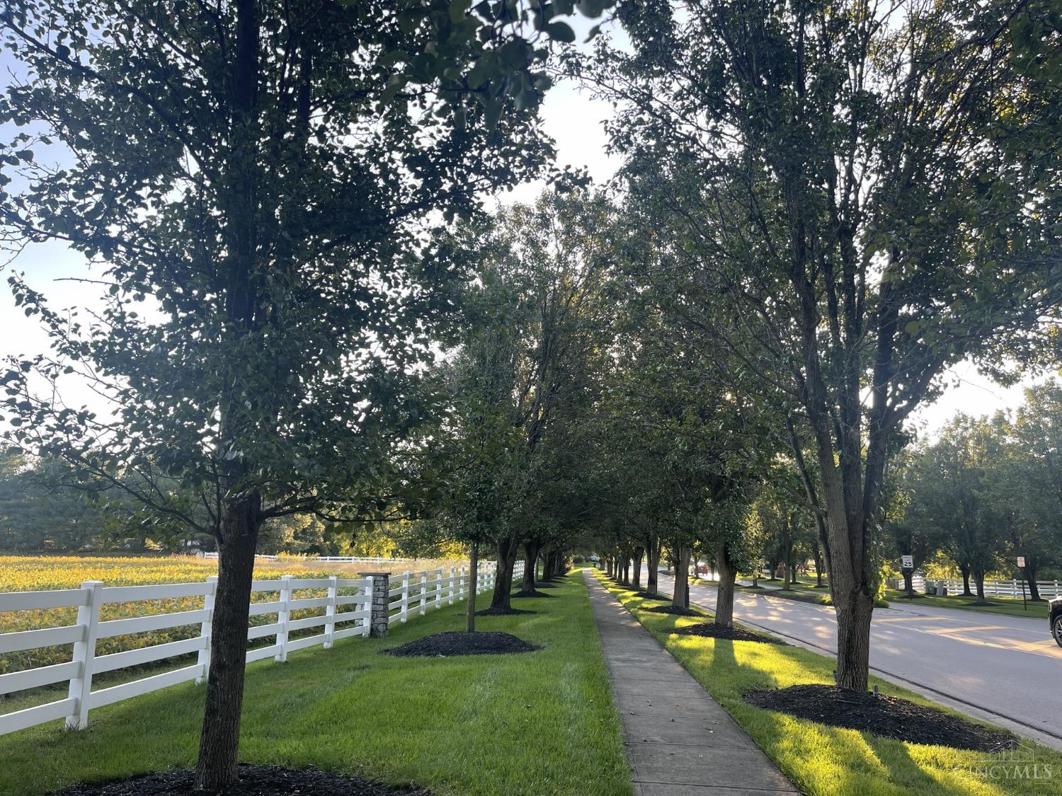 174 Regency Square Property Photo 48