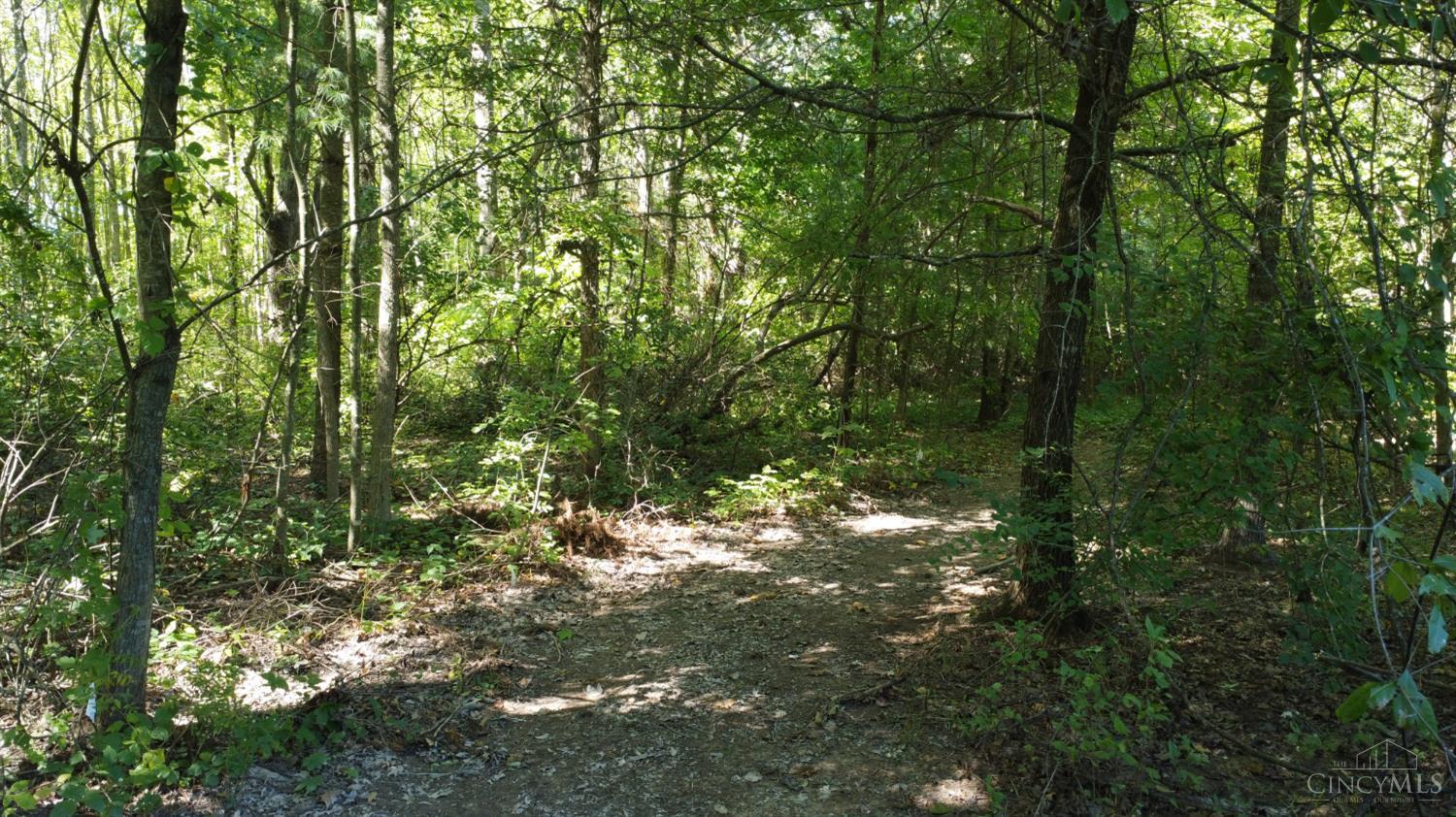 3157 Us Rt 50 Property Photo 96