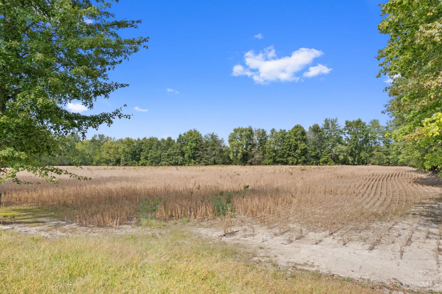 Sodom Road Property Photo 15