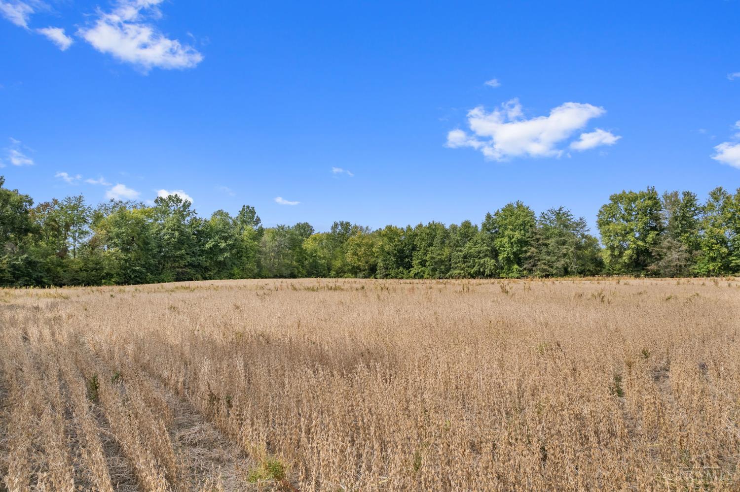 Sodom Road Property Photo 18