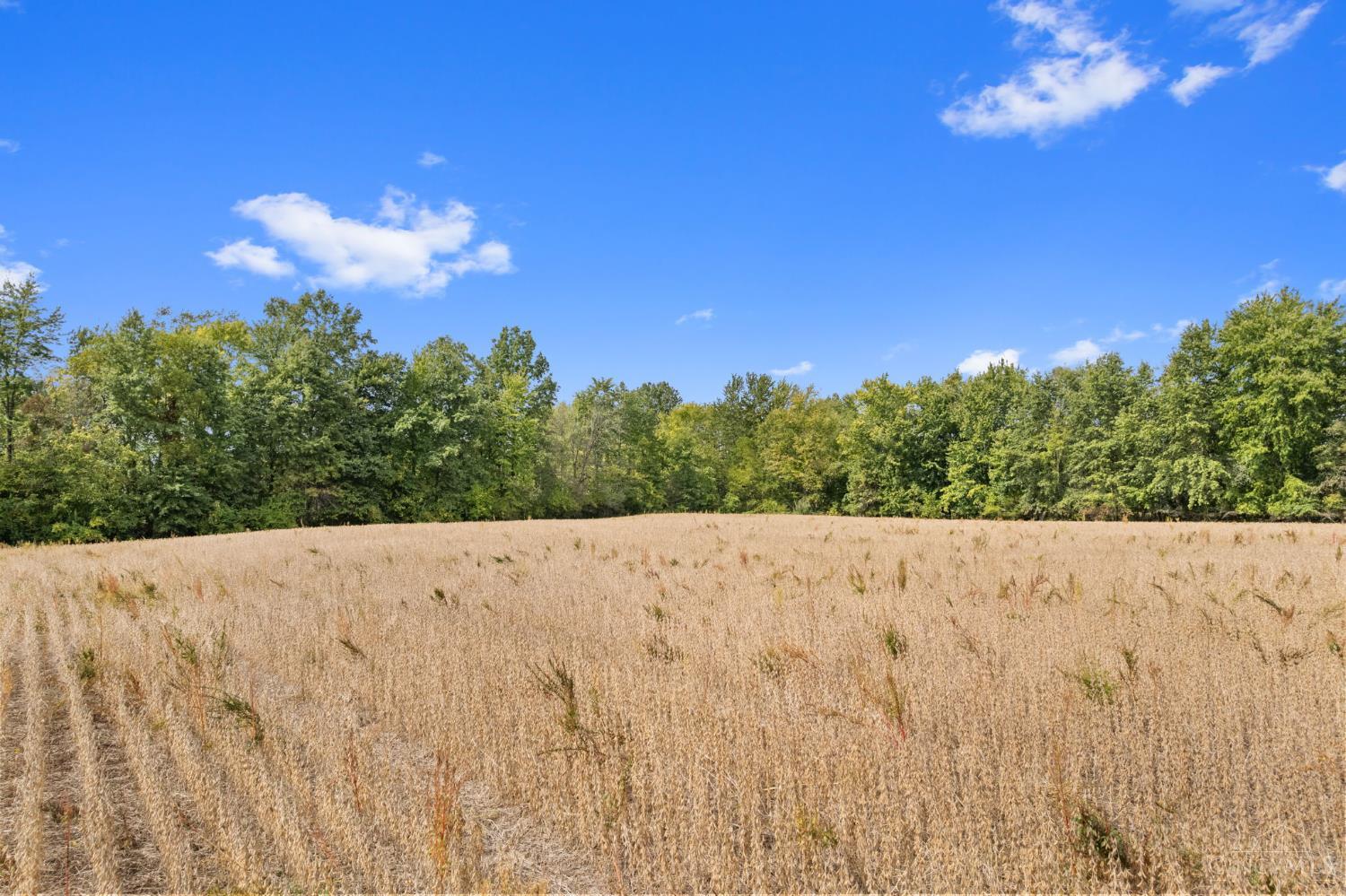 Sodom Road Property Photo 19