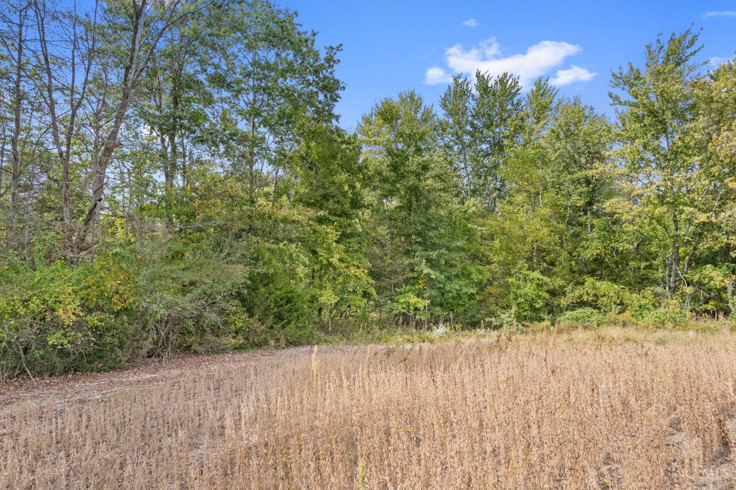 Sodom Road Property Photo 20