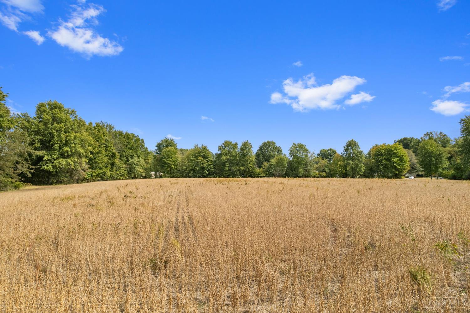 Sodom Road Property Photo 21