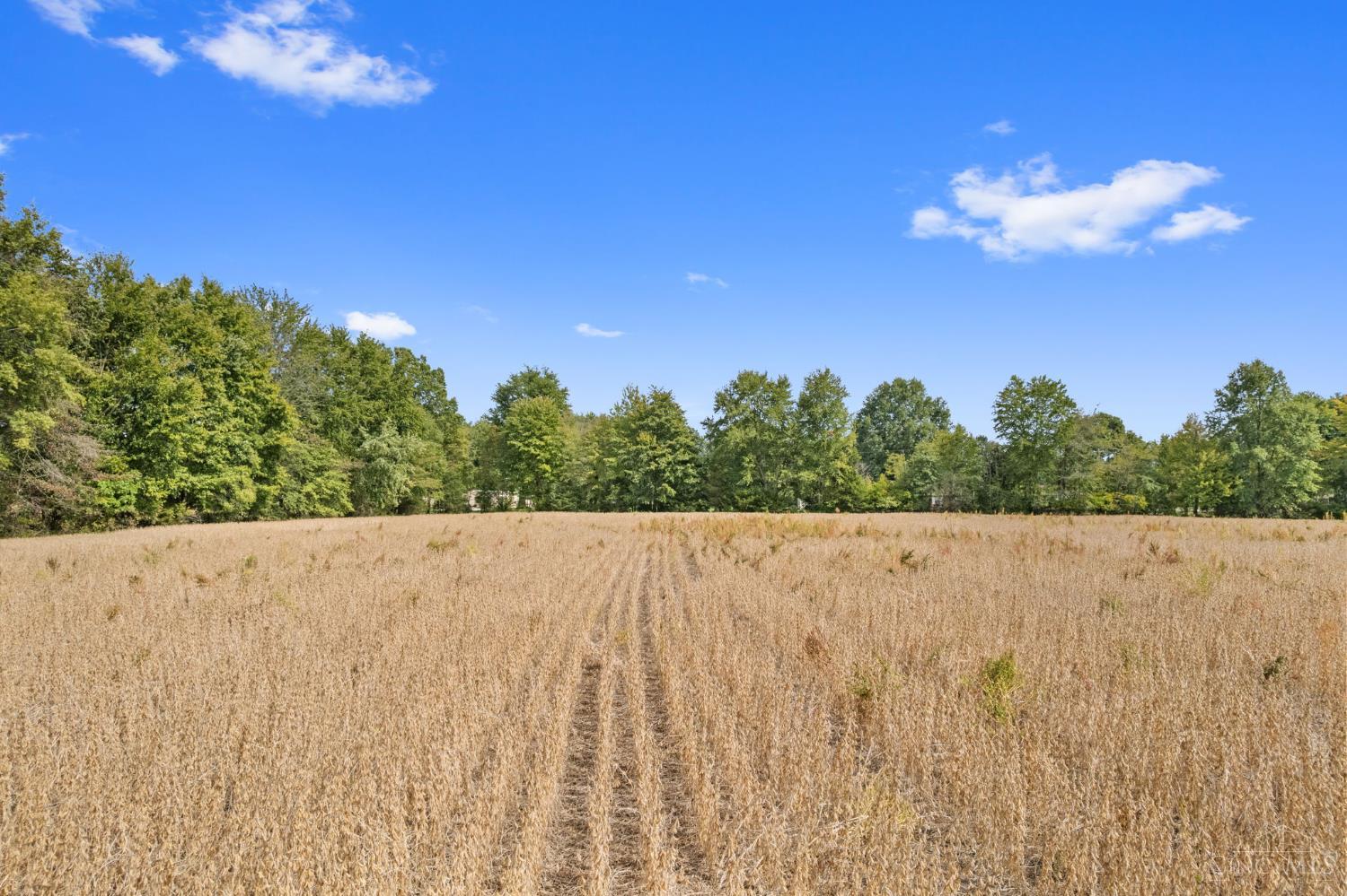 Sodom Road Property Photo 22