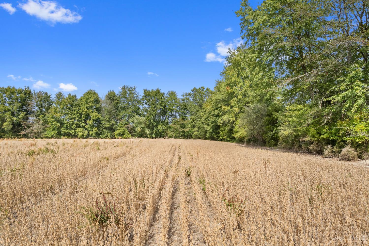 Sodom Road Property Photo 23