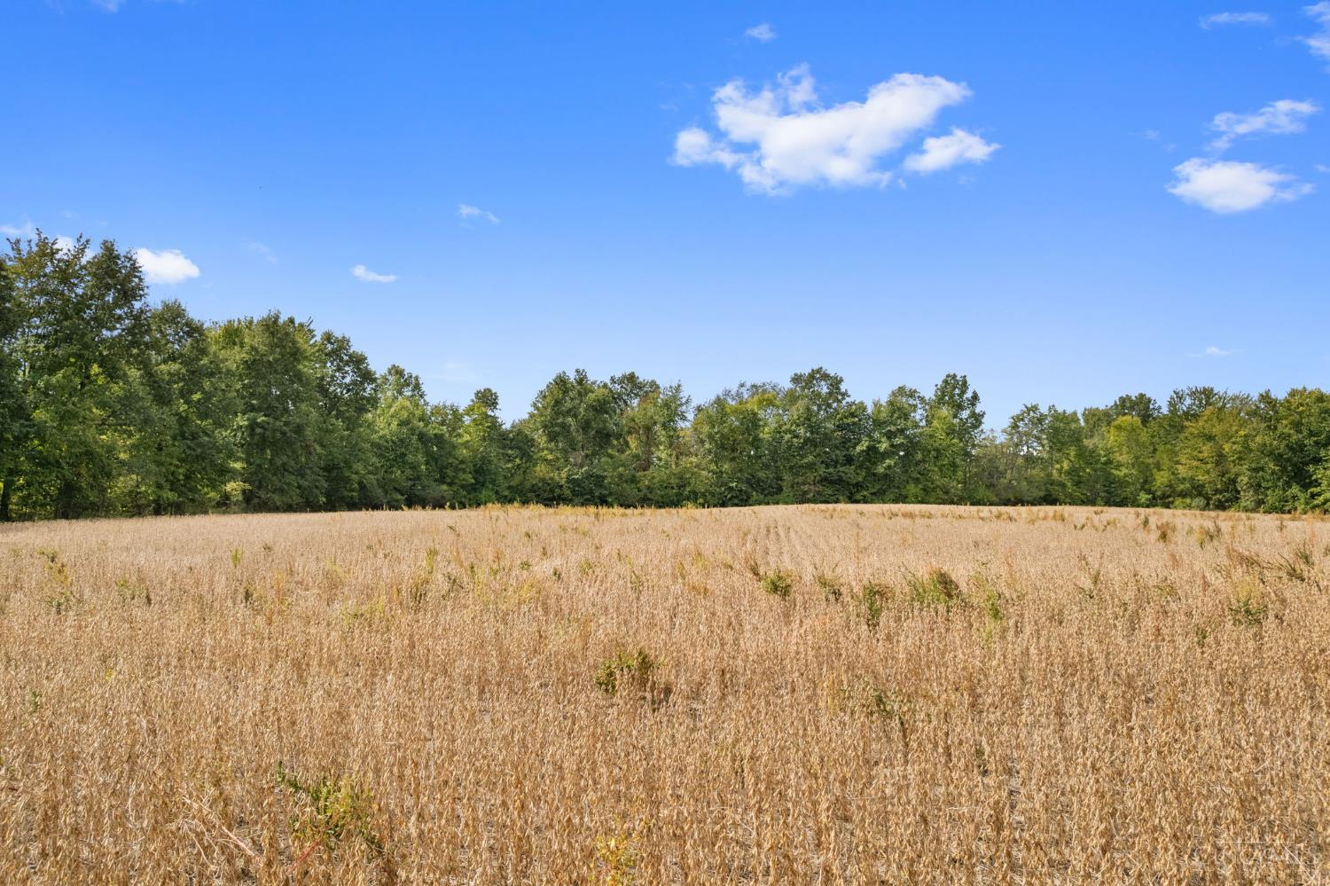 Sodom Road Property Photo 24