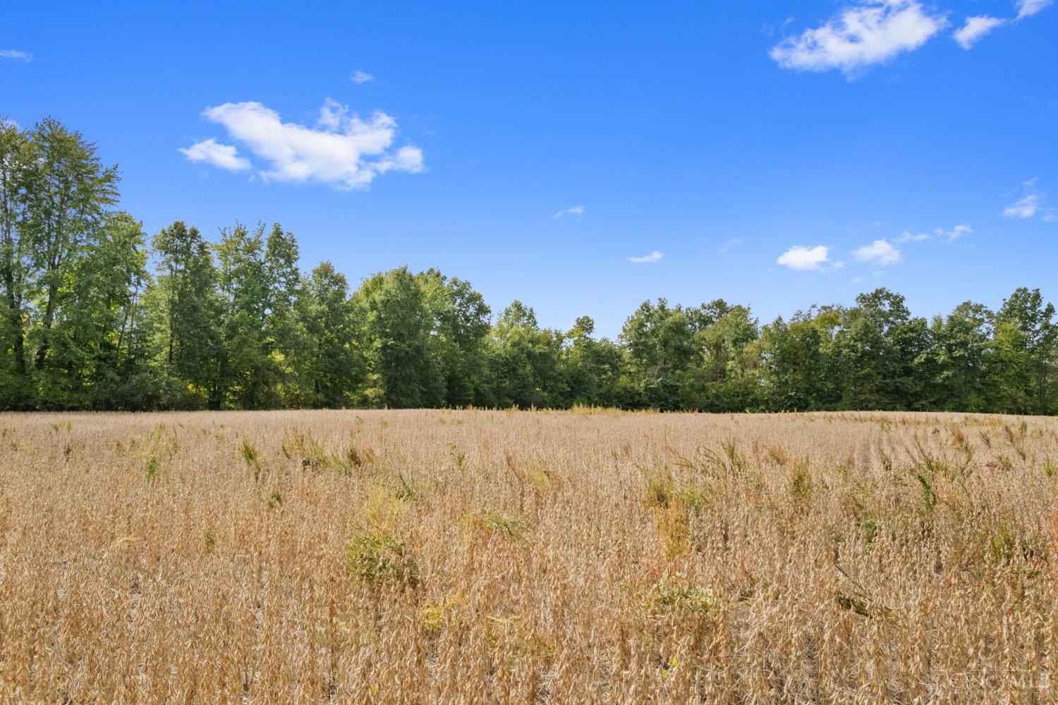 Sodom Road Property Photo 25