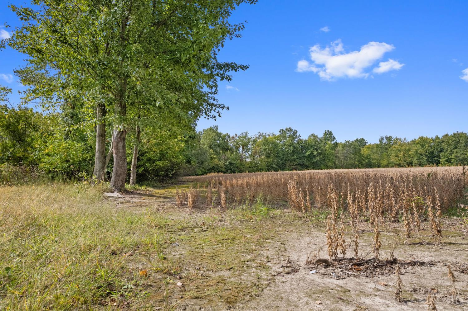Sodom Road Property Photo 26