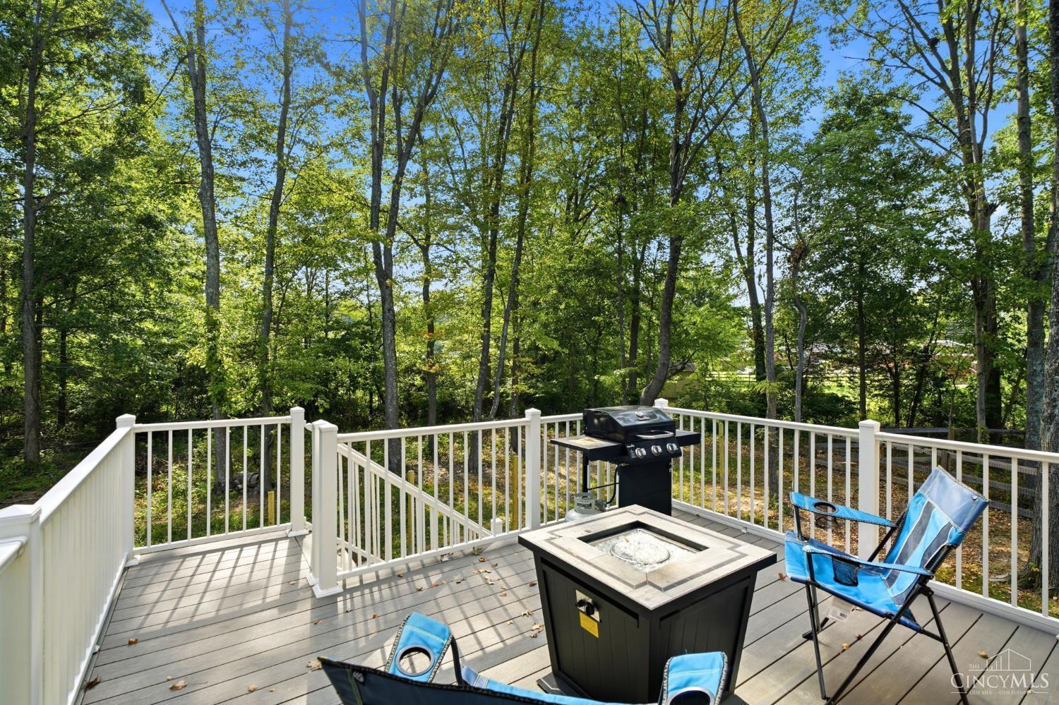 60 Snapdragon Drive Property Photo 38