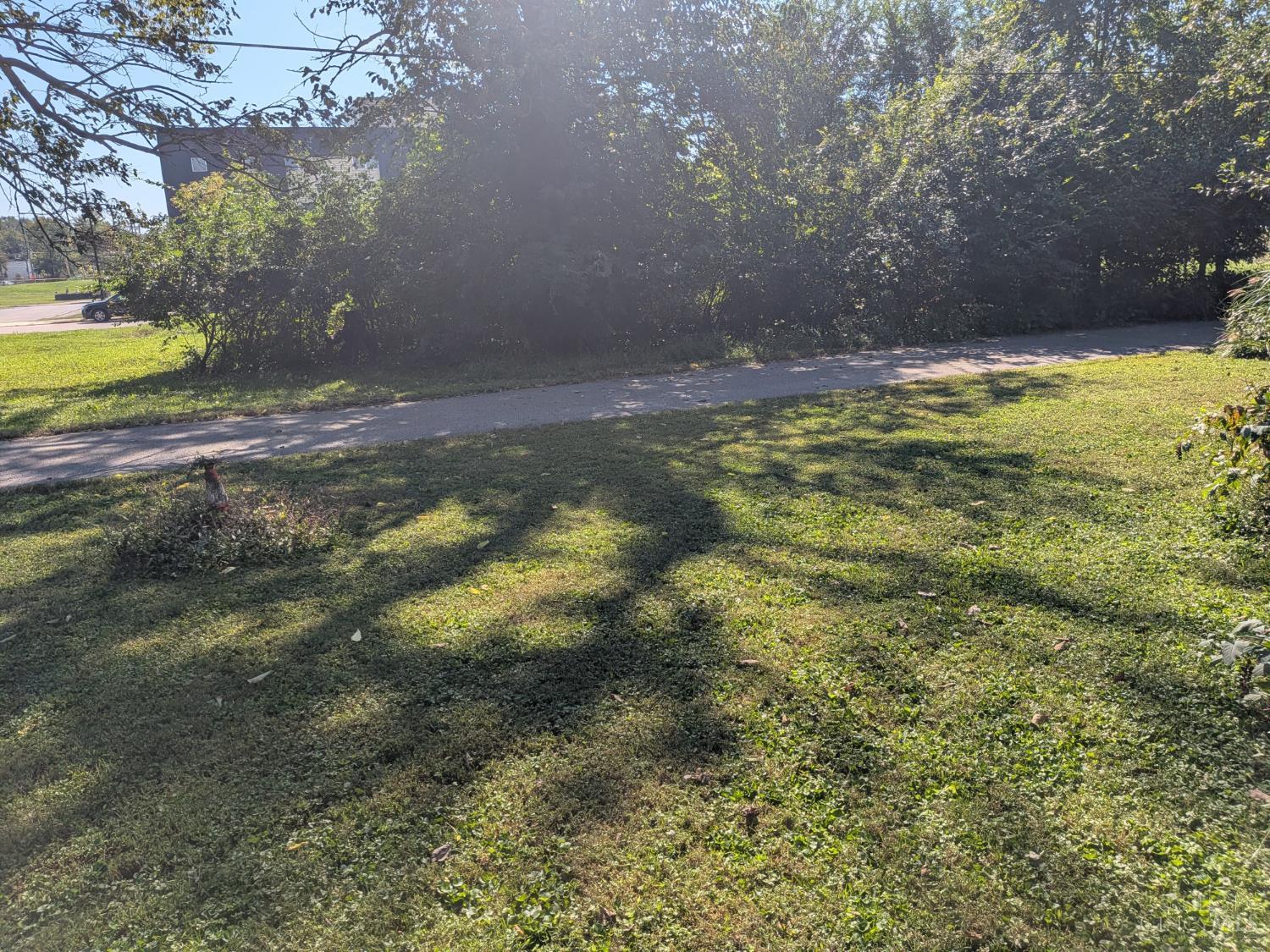 214 Worth Street Property Photo 6