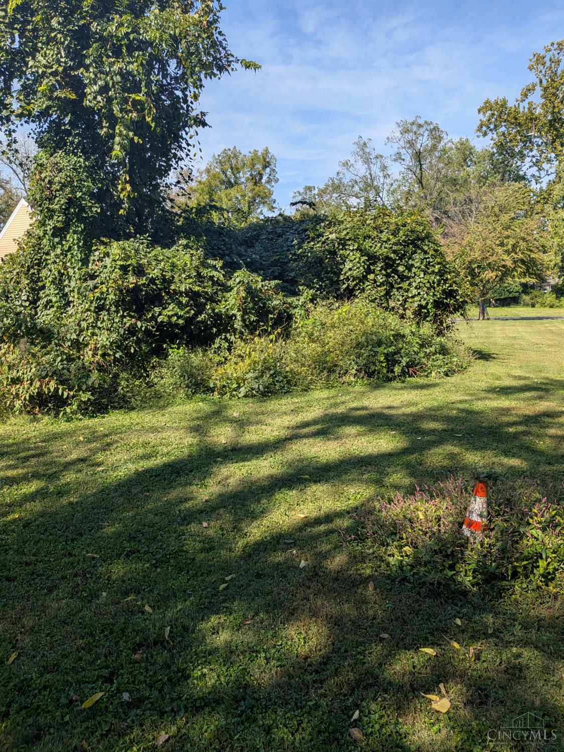 214 Worth Street Property Photo 7
