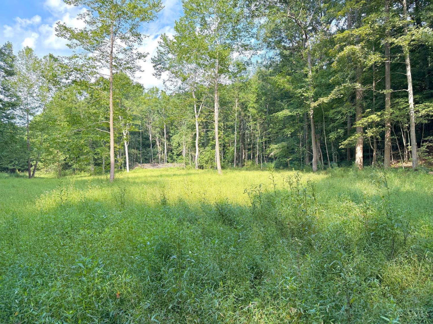 S Side Chenoweth Fork Road Property Photo 1