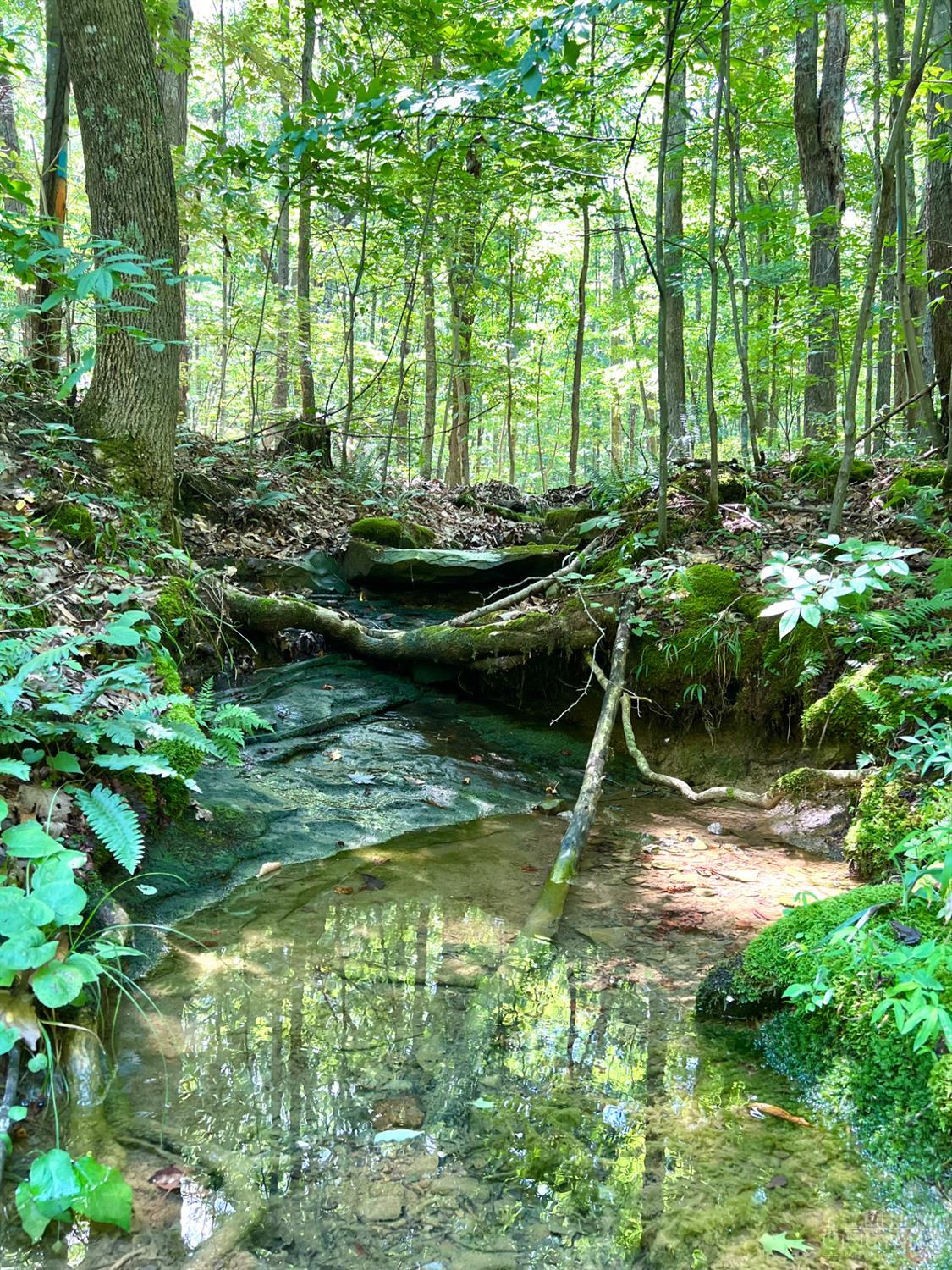 S Side Chenoweth Fork Road Property Photo 2