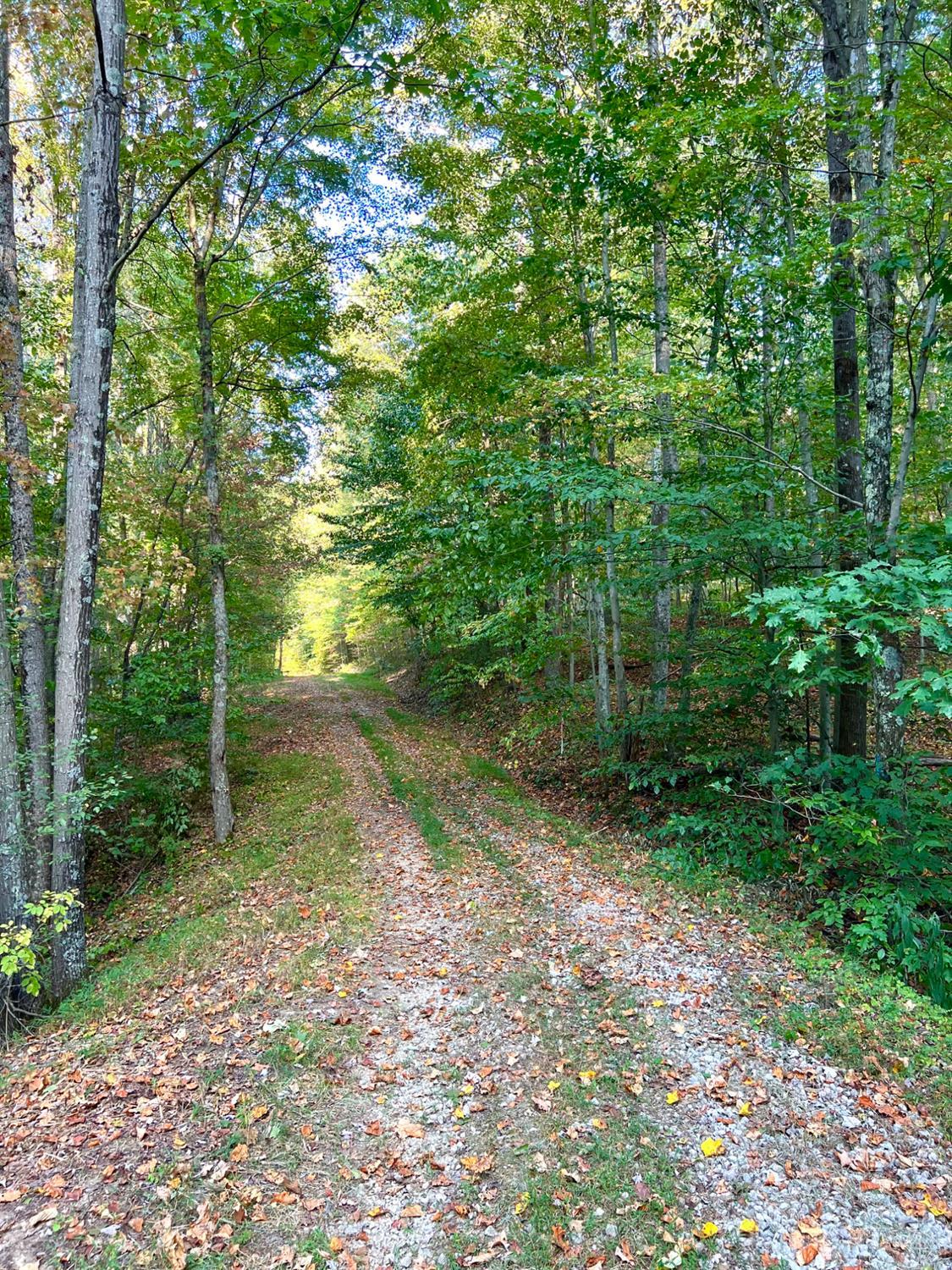 S Side Chenoweth Fork Road Property Photo 4