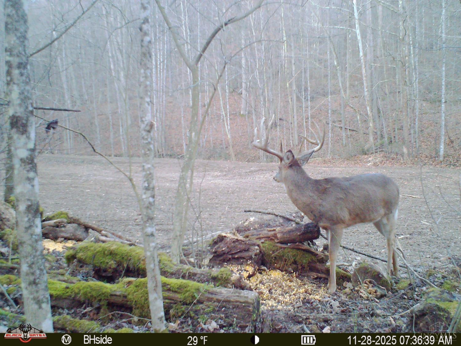 S Side Chenoweth Fork Road Property Photo 5