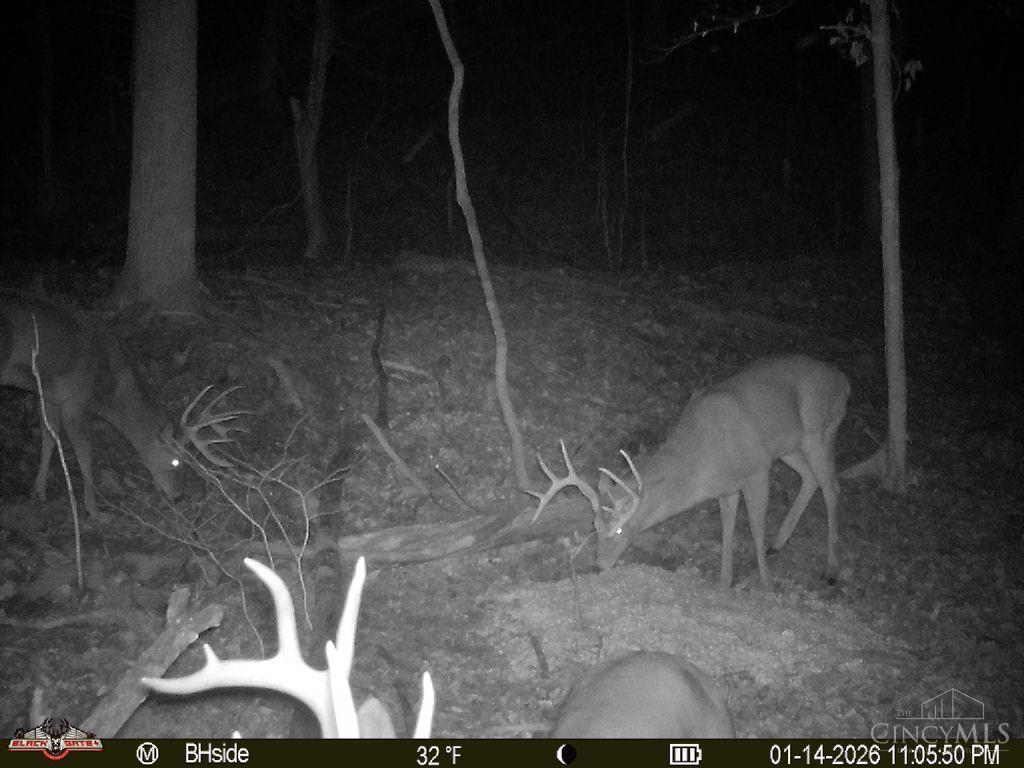 S Side Chenoweth Fork Road Property Photo 6