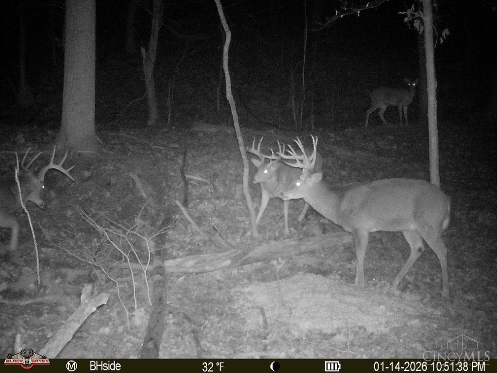 S Side Chenoweth Fork Road Property Photo 7