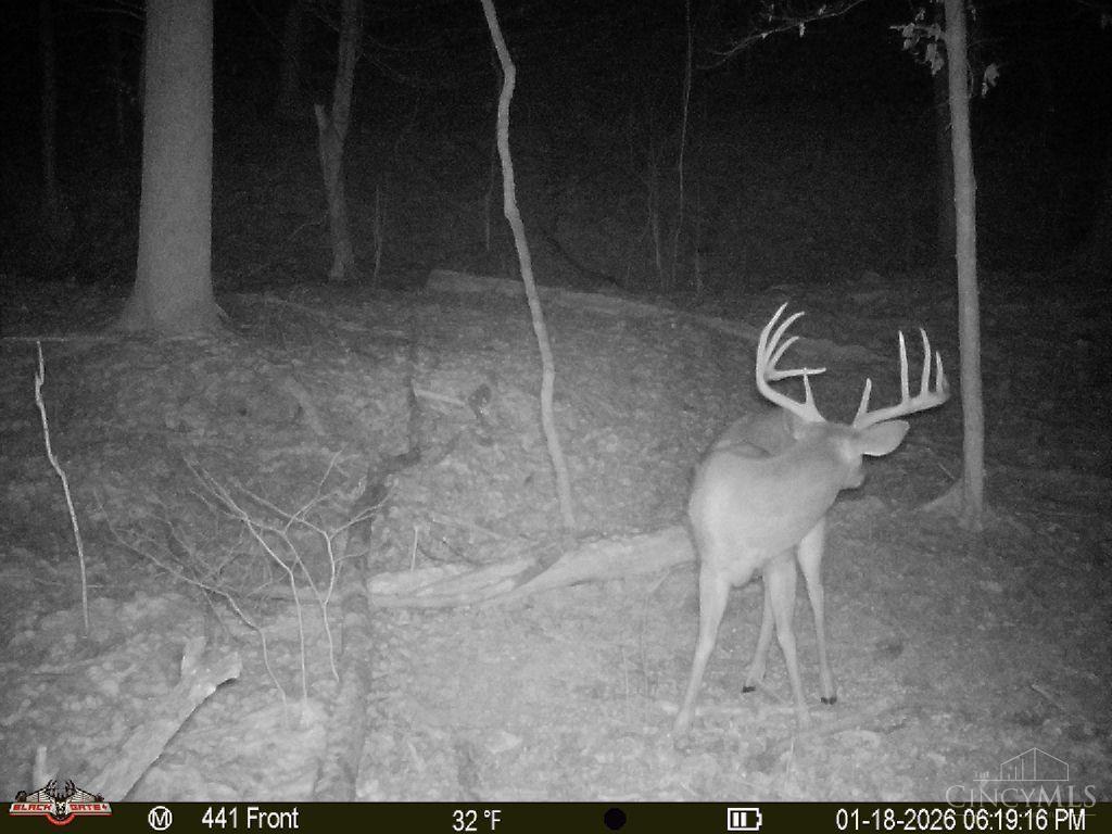 S Side Chenoweth Fork Road Property Photo 8
