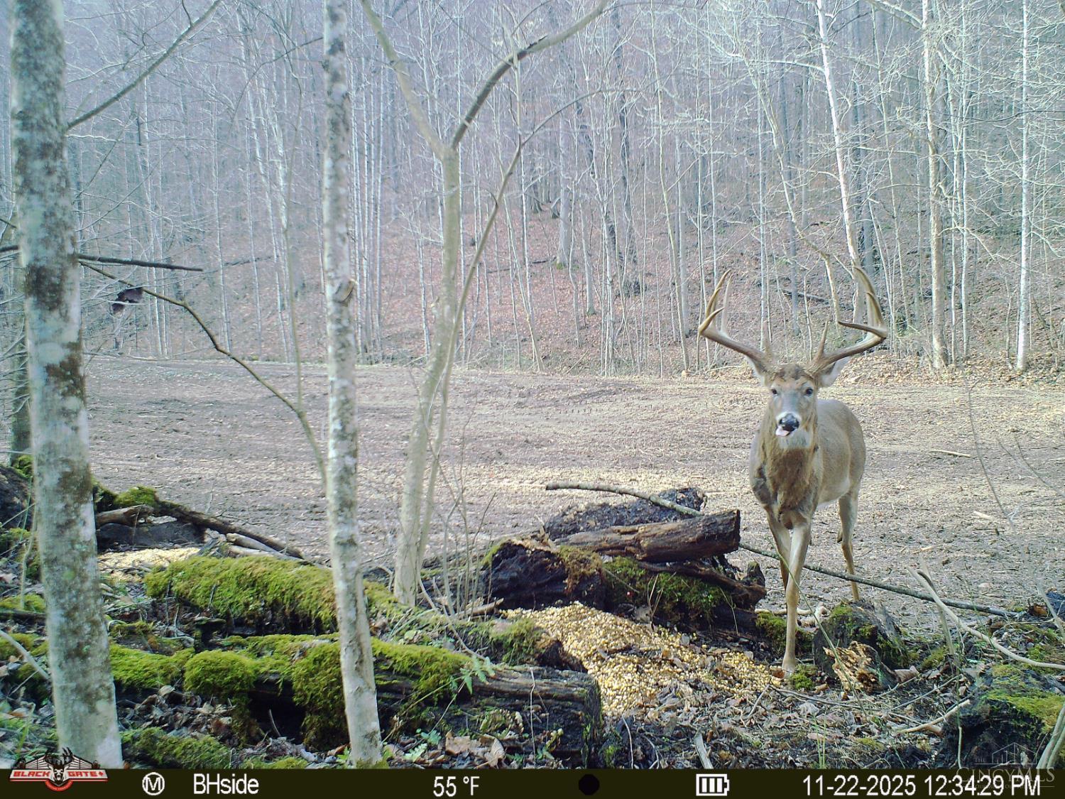 S Side Chenoweth Fork Road Property Photo 9